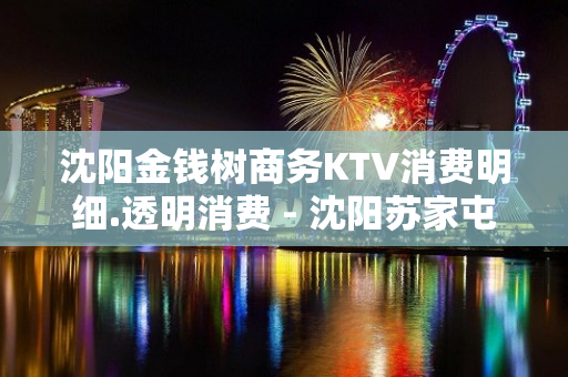 沈阳金钱树商务KTV消费明细.透明消费 - 沈阳苏家屯KTV大全 