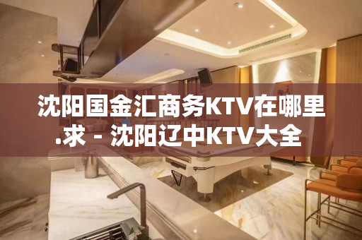 沈阳国金汇商务KTV在哪里.求 - 沈阳辽中KTV大全 