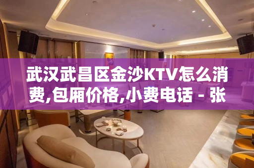 武汉武昌区金沙KTV怎么消费,包厢价格,小费电话 - 张家港大新KTV大全 